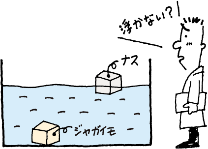 同じ大きさにカットしてみたら？